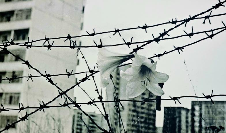 Памяти Чернобыля. Памяти людей.