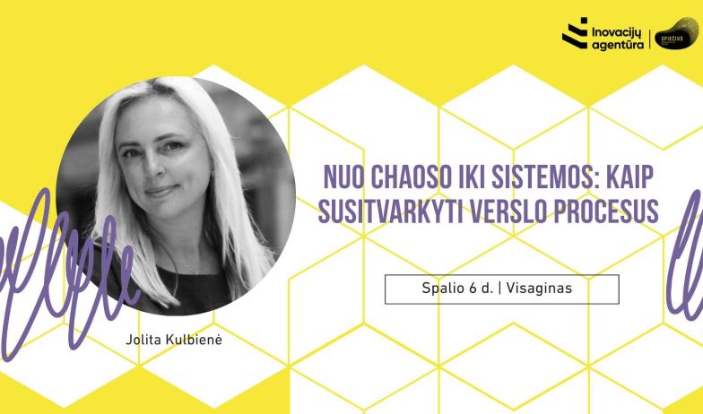 Dirbtuvės: Nuo chaoso iki sistemos: kaip susitvarkyti verslo procesus